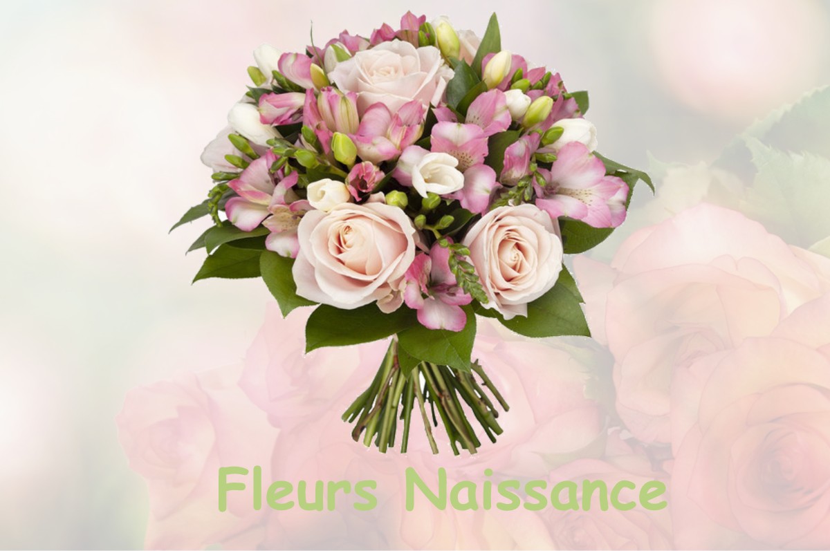 fleurs naissance MONSTEROUX-MILIEU