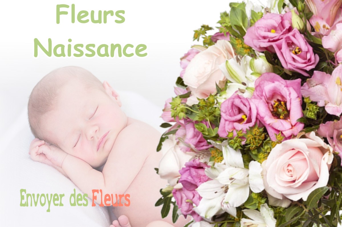 lIVRAISON FLEURS NAISSANCE à MONSTEROUX-MILIEU